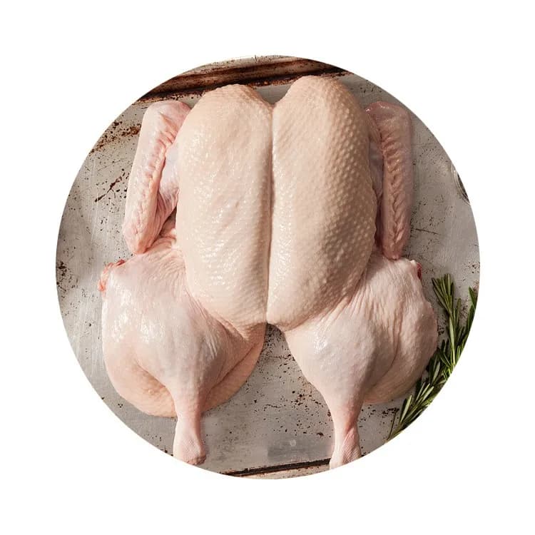 Duck - Whole